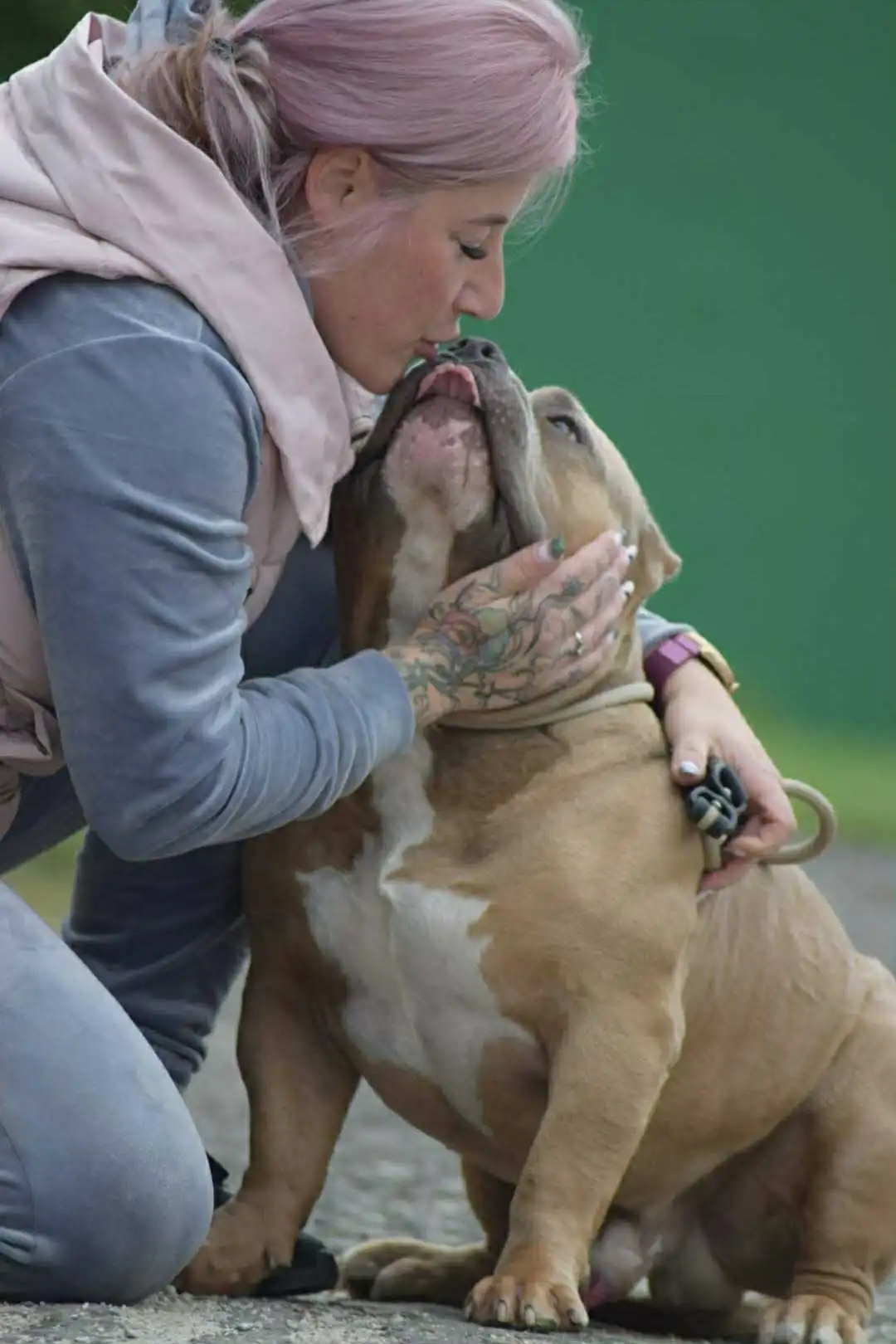 VS Bullyz Bullstrong - Image 4