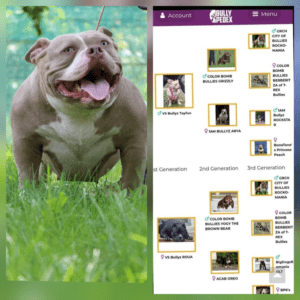 VS Bullyz Geta