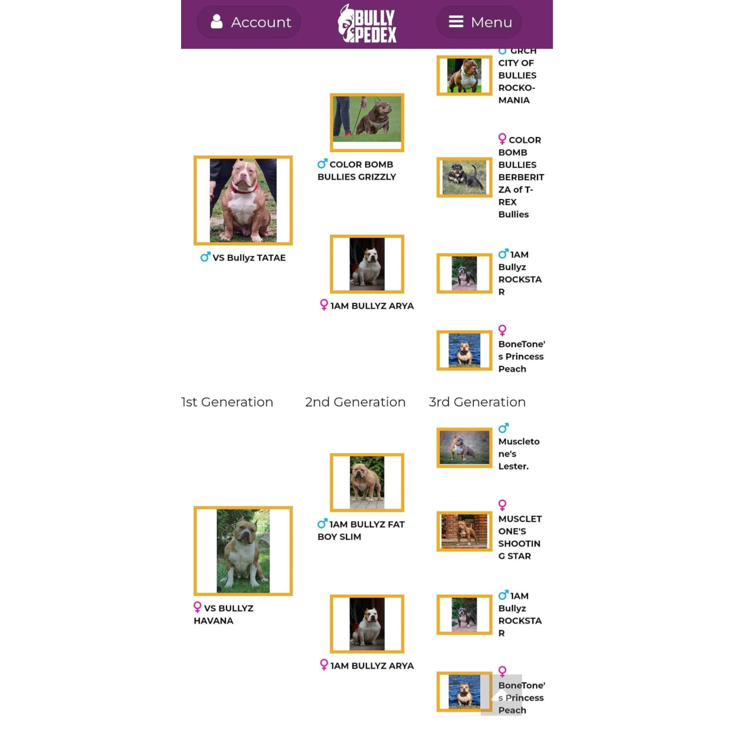 VS Bullyz Cristal - Image 2